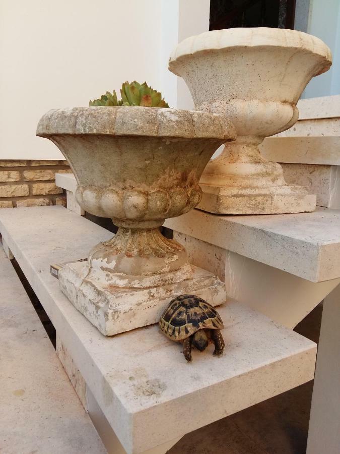 Villa Feodora Biograd Na Moru Eksteriør billede